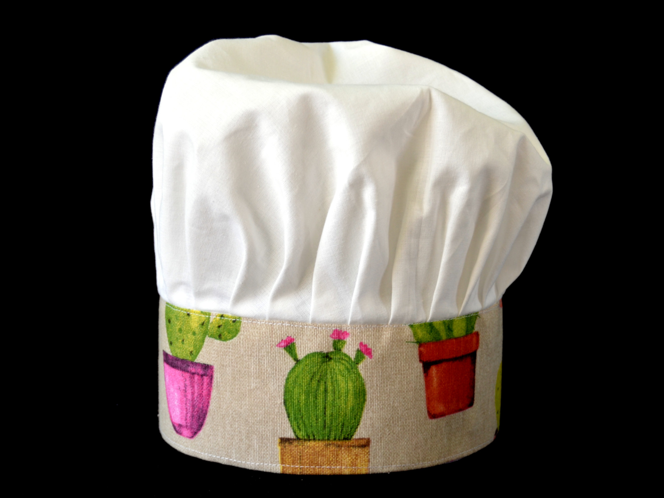 children's chef hat cactus