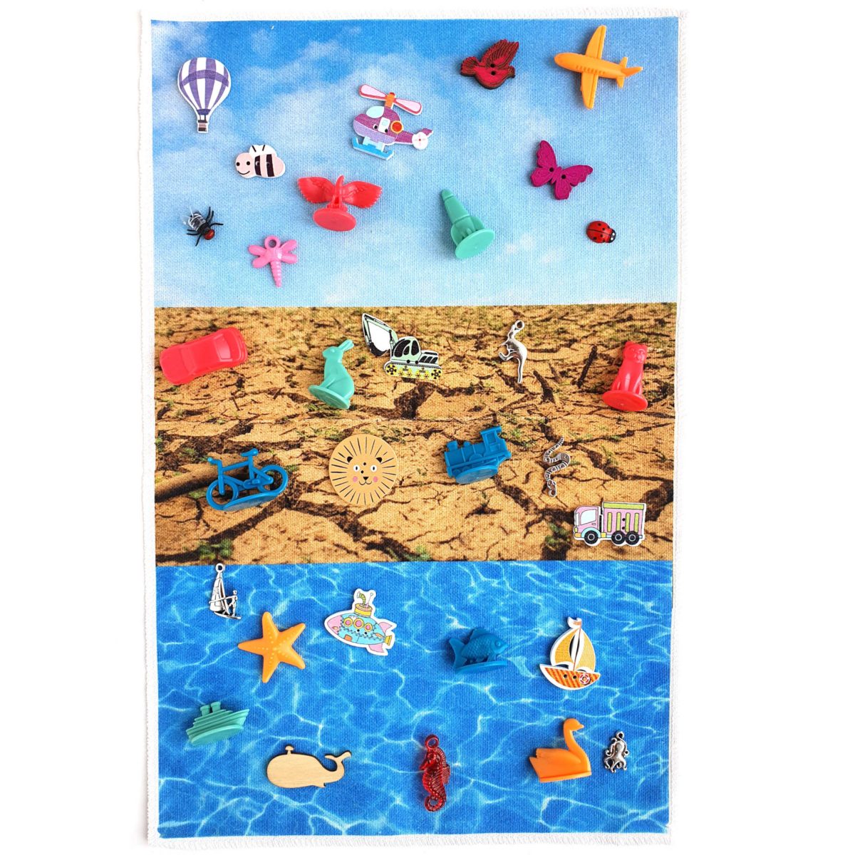 water land air sorting activity