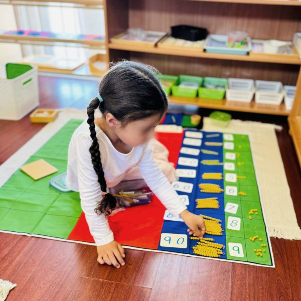 45 layout mat bird's eye view montessori